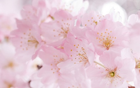 Betty Glass Obituary Warren Ohio