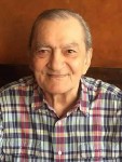 Luigi G. Saia