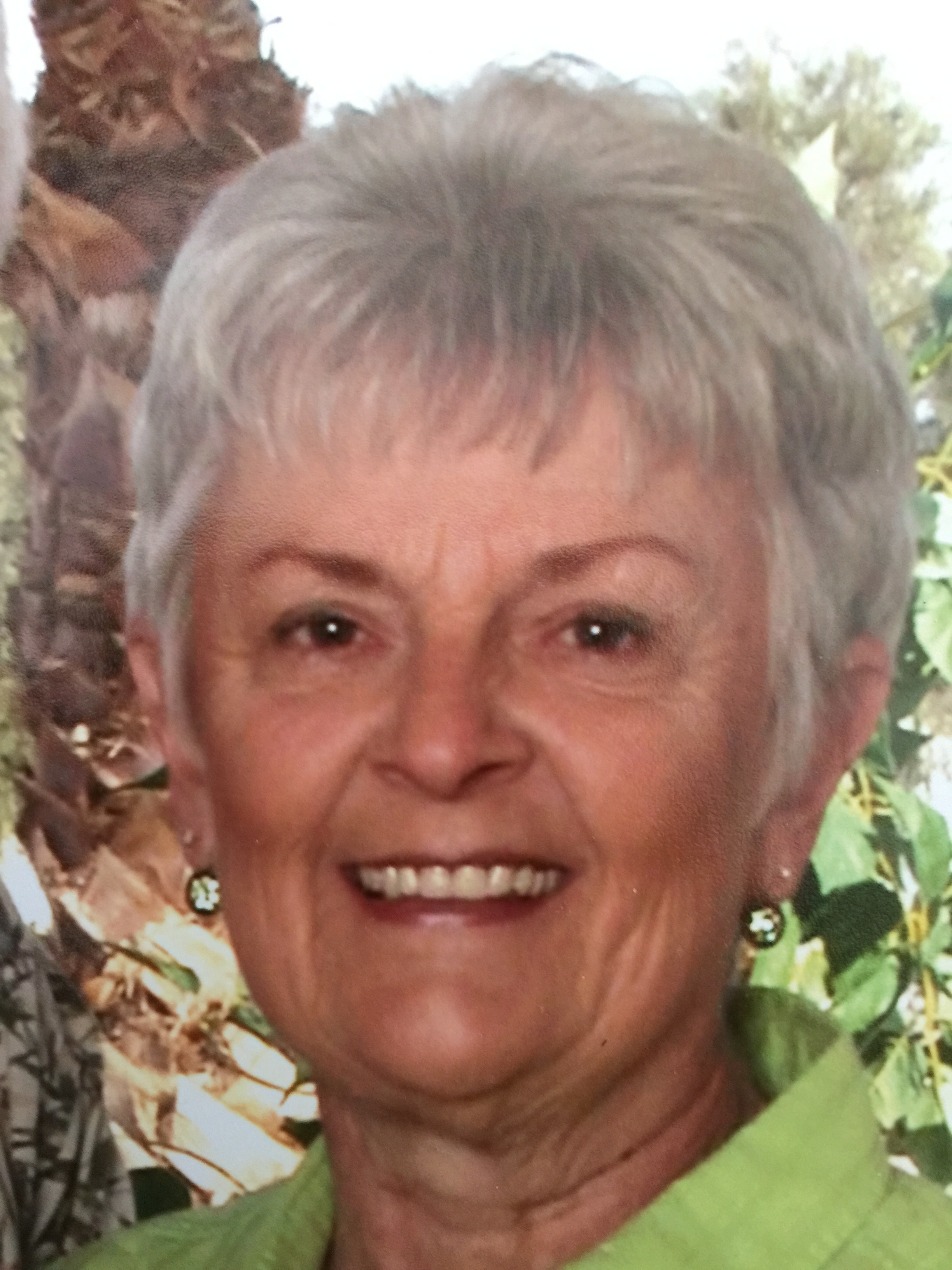 Joanne Diioia Obituary, Stillwater, MN Obituaries Bradshaw Funeral