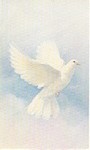 Caroline J. Beland