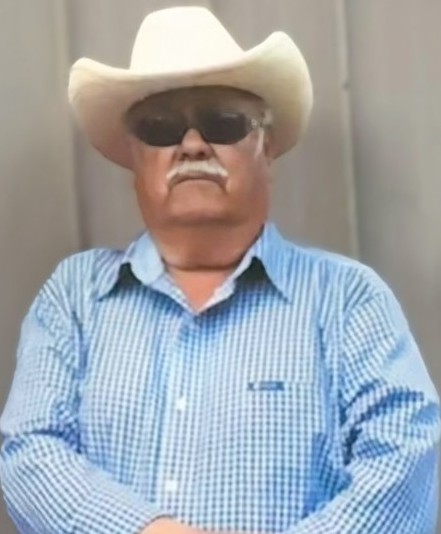 Jose De Avila Galvez