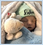 Luka Alexander Mujakovic