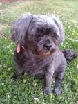 Gidget Marie Reed